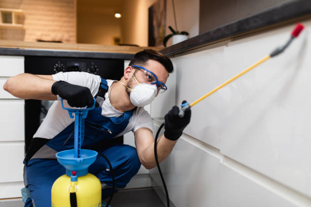Best Mosquito Control Services  in Star Valley, AZ