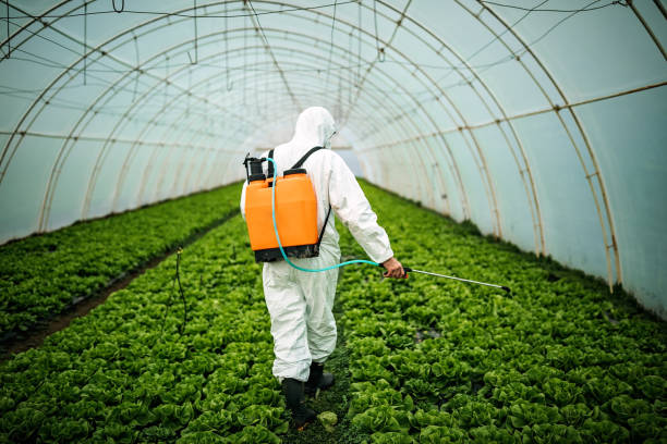 Best Pest Inspection Near Me  in Star Valley, AZ