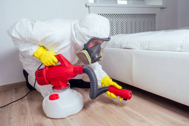 Best Pest Removal Services  in Star Valley, AZ